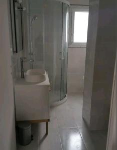 a bathroom with a sink and a shower and a toilet at Joli T2 près de Rennes in Vezin-le-Coquet