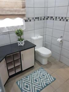 Genie's Nest Ooie 3 في بريتوريا: حمام مع مرحاض ومغسلة مع سجادة