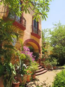 a building with a bunch of potted plants in front of it at Villa Ganz Boutique Hotel in Guadalajara