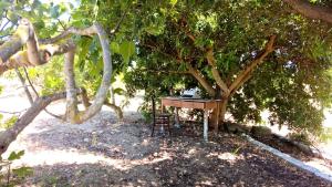 Сад в A CASA NOSCIA - BB SAN PIETRO IN BEVAGNA Charming house