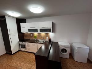 Kuchyň nebo kuchyňský kout v ubytování Apartman Nico