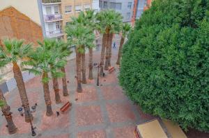 una vista aérea de una calle con palmeras en Apartamentos Turísticos Alba, en Cartagena