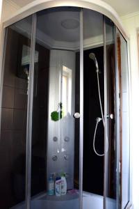 y baño con ducha y puerta de cristal. en KukuRyku Zagroda Wiejska nad Bugiem, en Osłowo