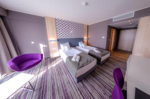 Afbeelding uit fotogalerij van Hotel Astone Conference & Spa in Lubin