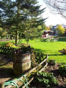 un tonneau en bois avec un arbre dans une cour dans l'établissement Inselgaestehaus-Erna, à Putbus