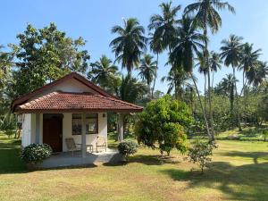 een klein huis in een veld met palmbomen bij Ambarella Lodge - Katunayake in Hunumulla