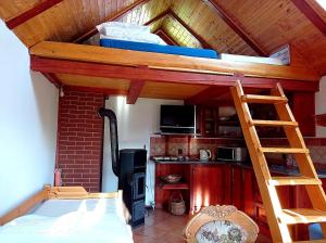 uma cama alta com uma escada num quarto em Dům a chatka pod Smrkem em Nové Město pod Smrkem