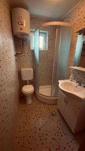 a bathroom with a toilet and a shower and a sink at KUĆA ZA ODMOR BRZICA ERDUT in Erdut