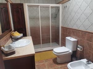 a bathroom with a toilet and a sink and a shower at Casa Cueva de los Verdes in Punta de Mujeres