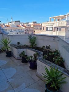 a balcony with potted plants and buildings in the background at Espaçoso apartamento junto ao metro in Lisbon