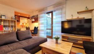 a living room with a couch and a large flat screen tv at Ferienwohnung am Felsenkeller in Lahrbach
