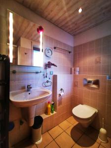 a bathroom with a sink and a toilet at Ferienwohnung am Felsenkeller in Lahrbach