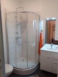 y baño con ducha, aseo y lavamanos. en Altstadtidylle Allerheiligen en Erfurt