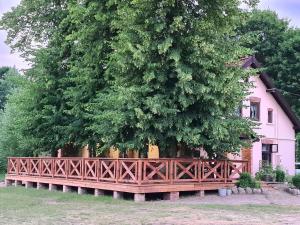 a large tree behind a wooden fence in front of a house at Swojski Gościniec in Prażmowo