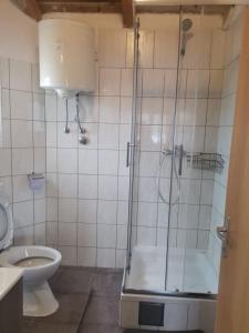 a bathroom with a shower and a toilet at Apartments More - sea front in Savar