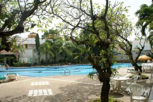 einen Pool mit Stühlen und einem Baum im Vordergrund in der Unterkunft Royal Twins Palace Hotel in Pattaya