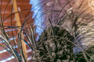 a potted plant with a pineapple in it at Skegness The Royal Hotel in Skegness
