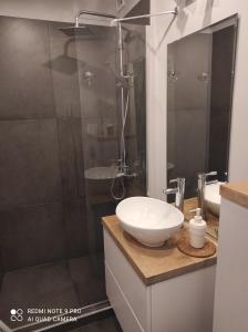 グダニスクにあるNadmorski Apartamentのバスルーム(白いシンク、シャワー付)