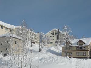 倶知安町にあるニセコパークホテルの雪に覆われた建物