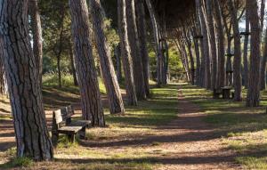 Vonkajšia záhrada v ubytovaní Alloggio Turistico Puccini