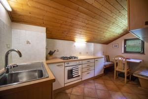 a kitchen with a sink and a stove at Traditional Apartment Trebe in Ortisei