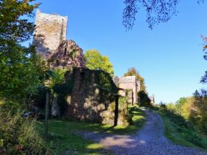 un vieux château sur le côté d'une route dans l'établissement Blumenschein-Ferienwohnung Unne, à Kirchzell