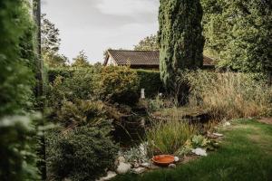 een tuin met een beekje in een tuin bij BEACH Holiday Home op de Veluwe in Ermelo