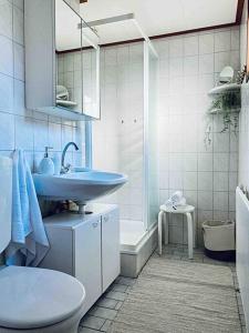een badkamer met een wastafel, een toilet en een douche bij BEACH Holiday Home op de Veluwe in Ermelo