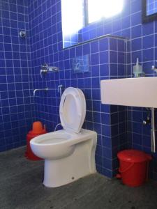 a bathroom with a toilet and a blue tiled wall at Ganga Kutir Oak Villa on Raichak in Raichak