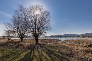 Gallery image of Hébergements du Lac de Madine in Heudicourt-sous-les-Côtes
