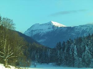 a snow covered mountain in the middle of a forest at Gerlindes Haus - inkl. Chiemgau-Karte in Siegsdorf +8 photos