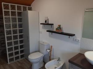 a bathroom with a toilet and a sink at Casa Villa Dinastía Sótão Y Casa Villa Dinastía Miramar in Ribeira Brava +39 photos