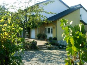 a house with a driveway in front of it at Weingut & Gastehaus Andreas Erz in Brauneberg