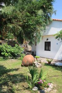 Giardino di Ikaria Utopia - Cusco Studios