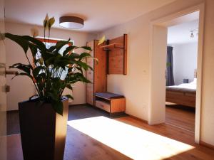 Zimmer mit einer Topfpflanze und einem Schlafzimmer in der Unterkunft Ferienwohnungen BERGfeeling in Bad Mitterndorf