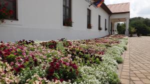 Zahrada ubytování Sarlóspuszta Club Hotel