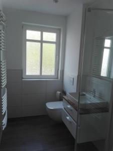 ein Bad mit einem WC, einem Waschbecken und einem Fenster in der Unterkunft Traumferienwohnung Ostseebad Baabe - Rügen in Baabe