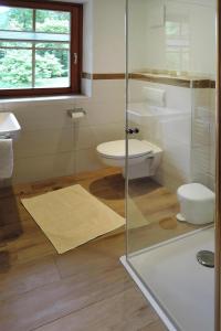 a bathroom with a toilet and a glass shower at Apartment in Fusch near Grossglockner Road in Fusch an der Glocknerstraße +22 photos