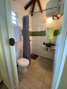 een badkamer met een toilet en een wastafel bij Gite Maya in Émilien