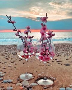 ゲレンジークにあるGuest House Cappuccinoのビーチの砂の中の花とワイングラス2杯