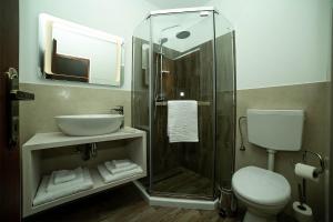 a bathroom with a shower and a toilet and a sink at Pensiunea Casablanca in Reghin
