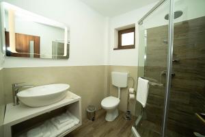 La salle de bains est pourvue d'un lavabo, de toilettes et d'une douche. dans l'établissement Pensiunea Casablanca, à Reghin