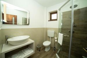 a bathroom with a sink and a toilet and a shower at Pensiunea Casablanca in Reghin +48 photos