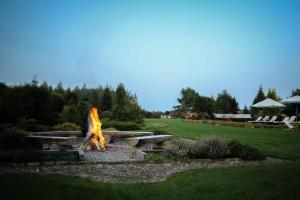 Fotografia z galérie ubytovania Anahata Siedlisko&Spa v destinácii Sejny + 37 fotografií