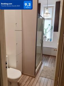 La salle de bains est pourvue d'une cabine de douche et de toilettes. dans l'établissement Star Apartment City Center, à Łódź