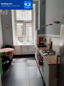 a kitchen with a sink and a window in it at Star Apartment City Center in Łódź +6 photos