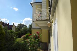 Zahrada ubytování Villa Sonnenstrahl