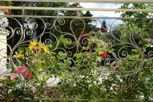 Zahrada ubytování Villa Sonnenstrahl