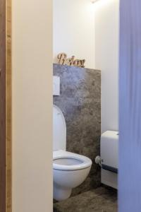 a bathroom with a white toilet in a room at Nüggili's Maisäß in Tschagguns +4 photos
