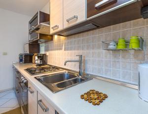 Kuchyňa alebo kuchynka v ubytovaní Apartment Teri